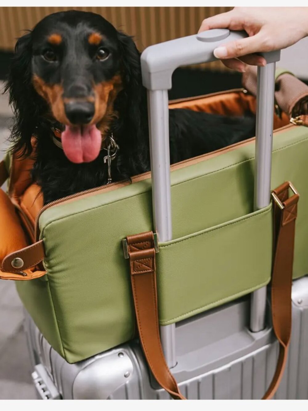 NWOT - FunnyFuzzy Deluxe Faux Leather Center Console Pet Car Seat and Carrier - Picture 3 of 10